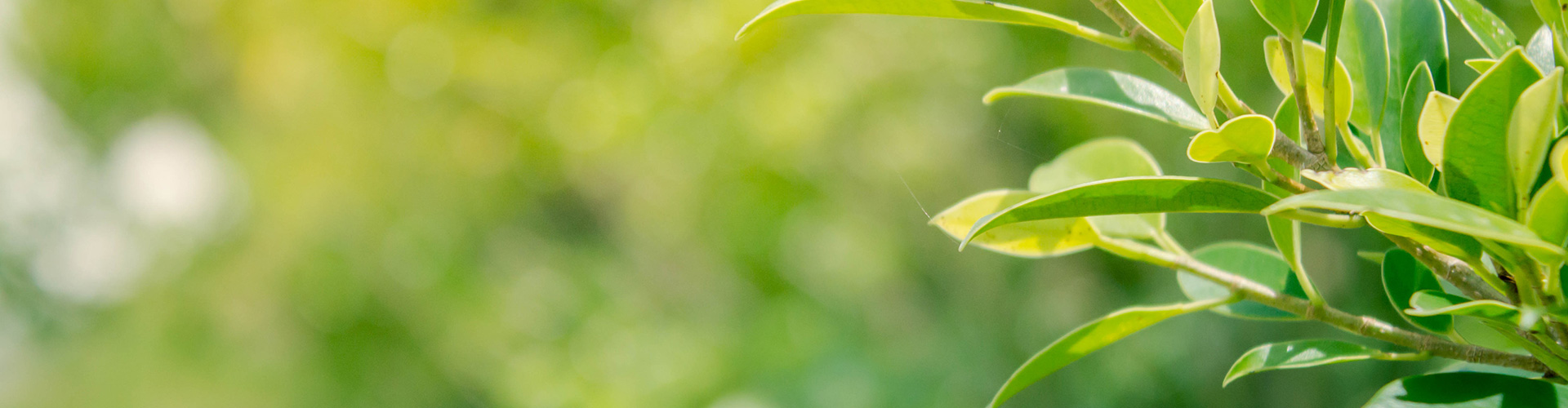 Incisive Health Care Pharma Environmental Policy 